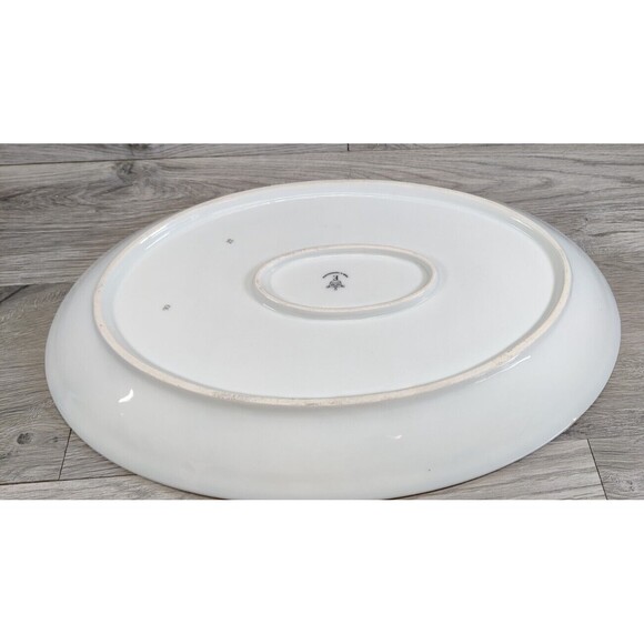 Antique Bernard Bloch CO CZECH 15" Serving Platter PINK Blue Flowers Porcelain - Picture 2 of 9